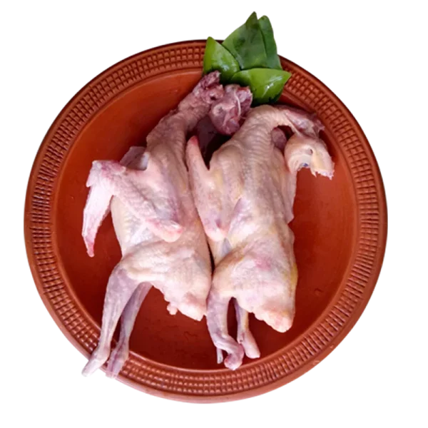 pegion