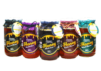 Hon2